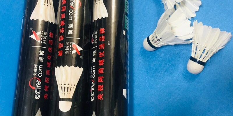 Kích Thước Chuẩn Của Quả Cầu Lông