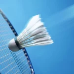 Nên Chọn Quả Cầu Lông Lông Vịt Hay Lông Ngỗng