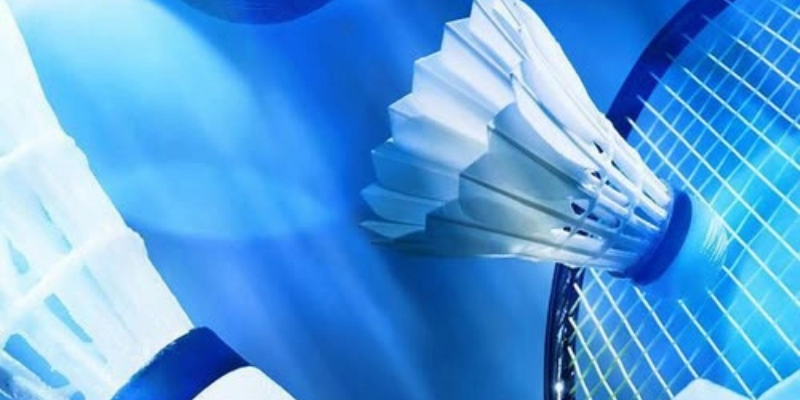 Những Thương Hiệu Quả Cầu Lông Bán Chạy Nhất