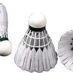 Quy Định Về Quả Cầu Lông Trong Thi Đấu Quốc Tế