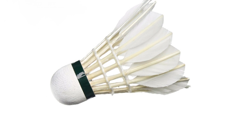 Tiêu Chuẩn Quốc Tế Của Quả Cầu LôngV