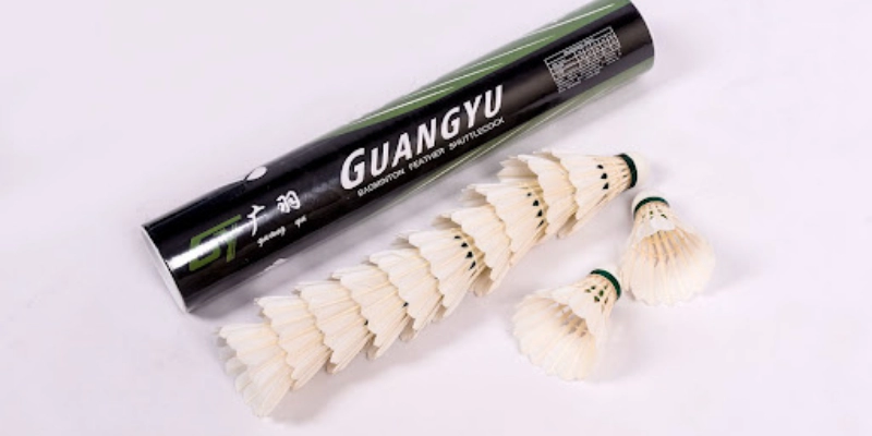 Tiêu Chuẩn Quốc Tế Của Quả Cầu LôngV