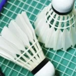 Tiêu Chuẩn Việt Nam Về Quả Cầu Lông