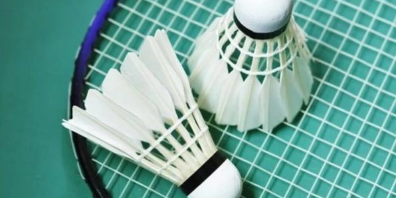 Tiêu Chuẩn Việt Nam Về Quả Cầu Lông