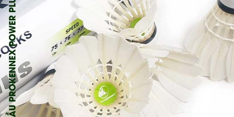 Cầu Lông ProKennex 808