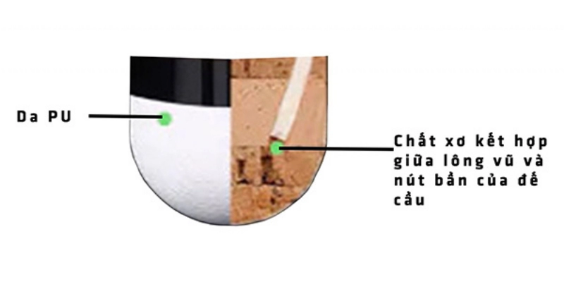 Cấu Tạo Đầu Cầu Lông