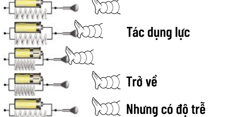 Độ Đàn Hồi